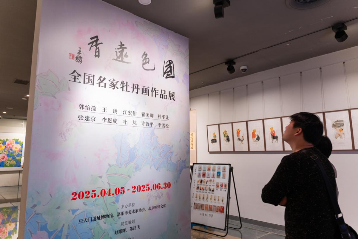 图片12.png