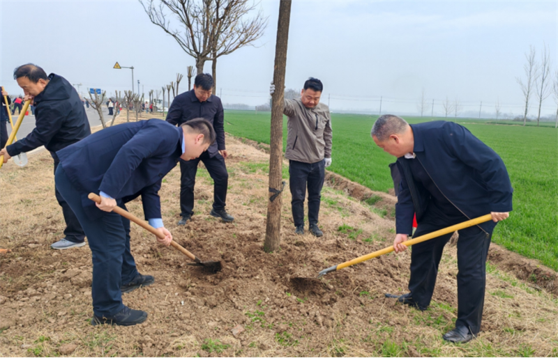 植绿护绿践初心 绘就美丽建安新底色656.png