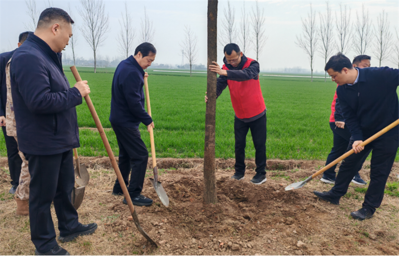 植绿护绿践初心 绘就美丽建安新底色662.png