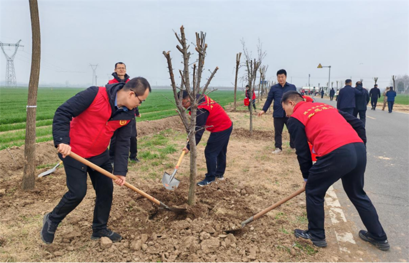 植绿护绿践初心 绘就美丽建安新底色664.png