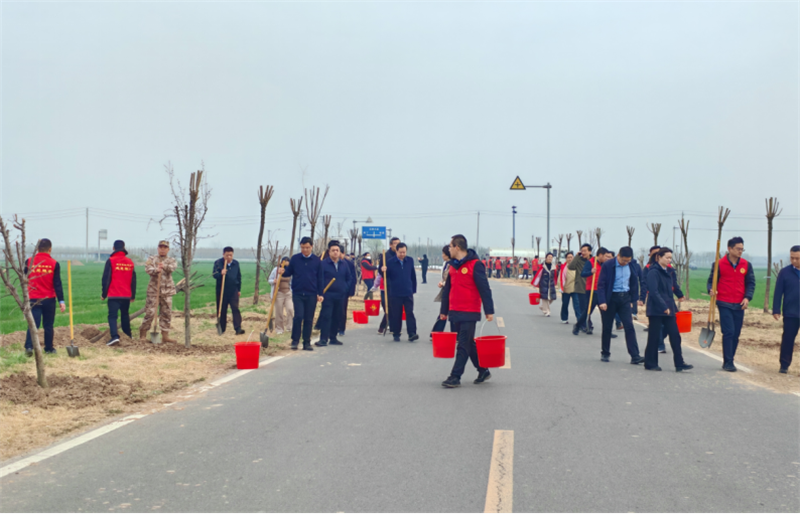 植绿护绿践初心 绘就美丽建安新底色665.png