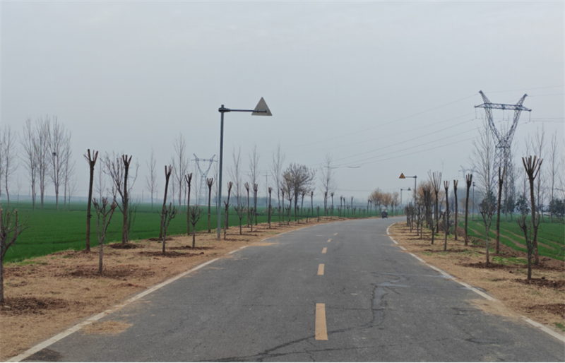 植绿护绿践初心 绘就美丽建安新底色667.png