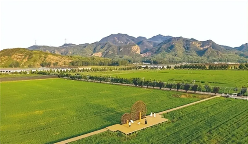 赵克红品牌铸魂 沃土传香——评《洛阳农业品牌故事》70.png